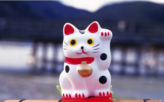 Kat, der vinker akavet som billede på akavethed i autisme og smalltalk