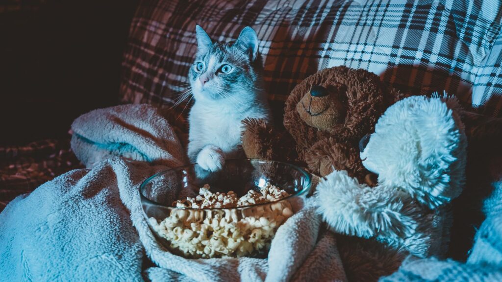 senudredning for autisme - kat, der ser tv med popcorn og bamse