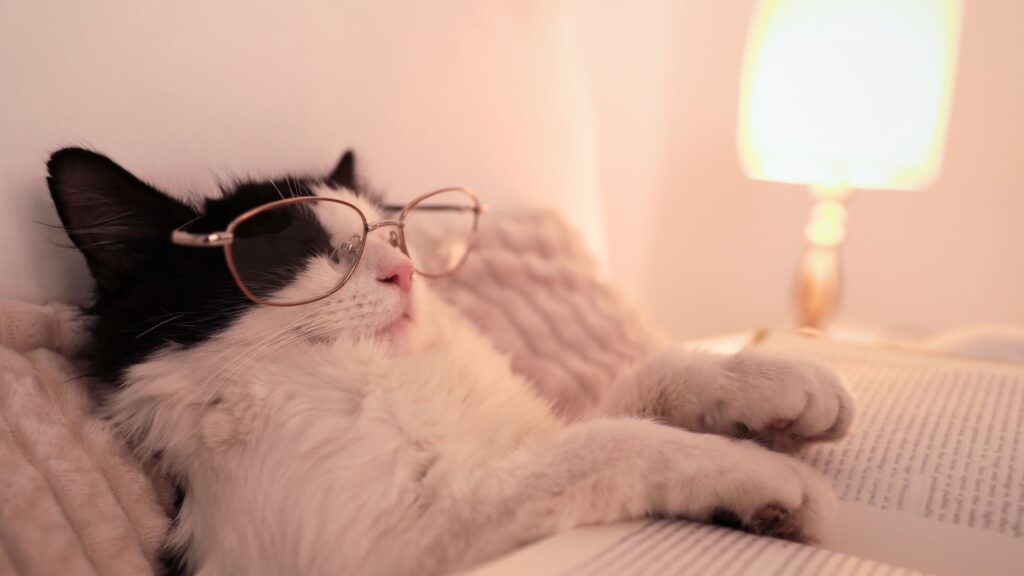 Sort-hvid kat, der ligger på ryggen i en seng med lukkede øjne, en bog og dæmpet lys som symbol på selvomsorg og autisme